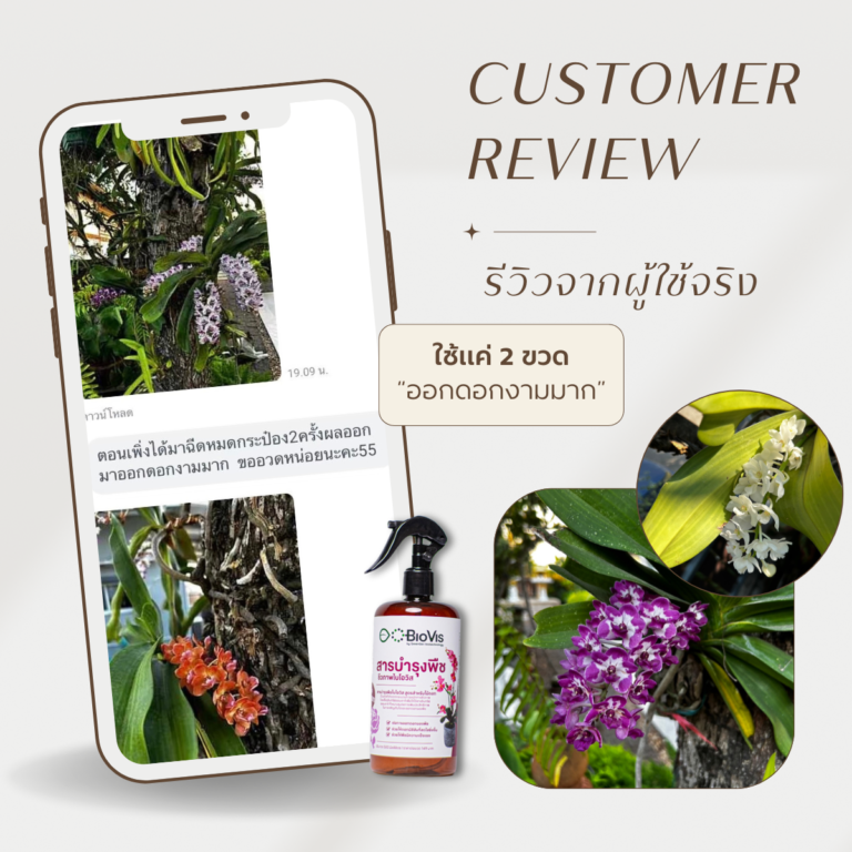customer review fb