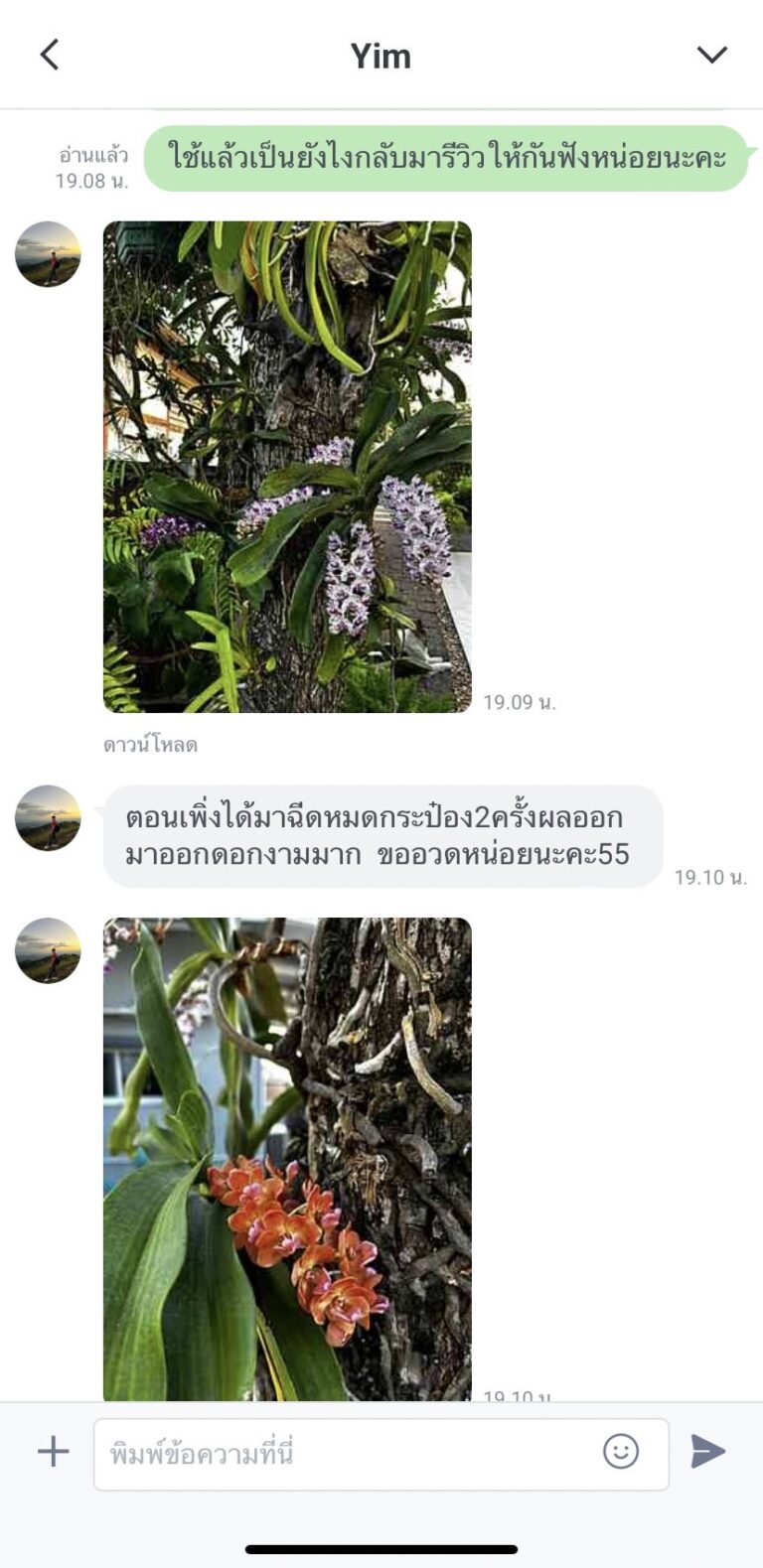 line_oa_chat_250219_082423
