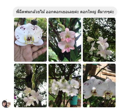 messageImage_1768279947905