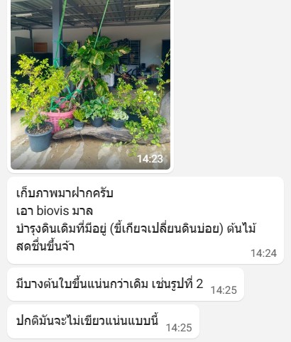 รีวิวไม้ดอก shopee