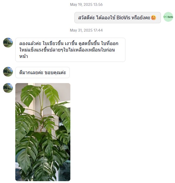รีวิวไม้ใบ tt (1)